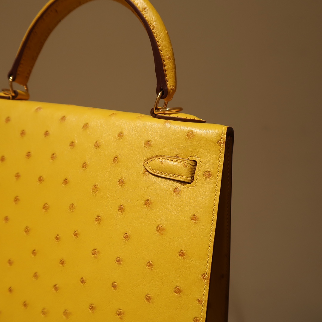 Hermes Kelly 25cm Handbag Shoulder Bag in Yellow Ostrich Leather